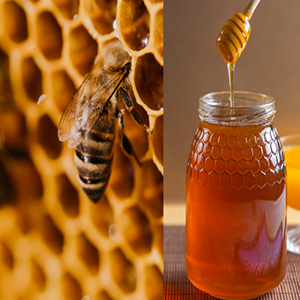 How To Improve the quality of your honey?